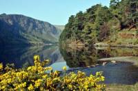 Glendalough and Avoca Day Trip from Dublin