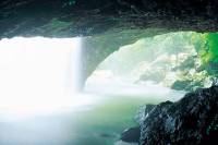 Glow Worm Cave and Natural Bridge Tour from Gold Coast