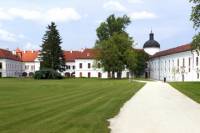 Godollo Palace and Traditional Farm Trip with Horse Show and Carriage Ride