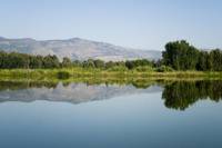 Golan Heights Day Trip from Tel Aviv