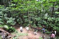 Gold Coast 4WD Eco Outback Tracks Tour