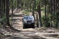 Gold Coast Lamington National Park and Tamborine Mountain 4WD Eco Tour