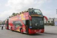 Gran Canaria Shore Excursion: Las Palmas de Gran Canaria Hop-on Hop-off Tour