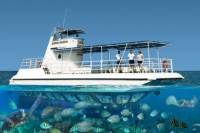 Grand Cayman Seaworld Observatory - Shipwreck and Fish Feeding Show