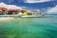 Grand Cayman Shore Excursion: Island Sightseeing Tour by 4x4