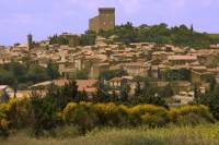 Grands Crus Wine Tasting and Vineyard Tour from Avignon