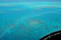Great Barrier Reef 30-Minute Scenic Helicopter Tour from Cairns