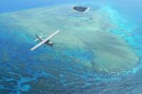 Great Barrier Reef Scenic Flight from Cairns Including Green Island, Arlington Reef and Michaelmas Cay