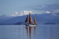Great Lake Taupo Maori Rock Carvings Sail Trip