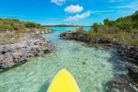 Guided Stand Up Paddleboard Tour Through Mangrove Estuaries