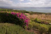 Haifa Shore Excursion: Private Nazareth and Sea of Galilee Day Trip