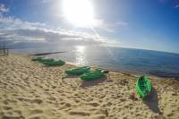 Half-Day Guided Kayak Tour of Port Phillip Bay from Rosebud West