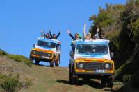 Half-Day or Full-Day Jeep Safari Tours