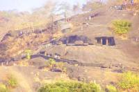 Half-Day Private Trip to Sanjay Gandhi National Park from Mumbai Including the Kanheri Caves