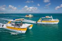 Half Day Snorkel and Conch Cruise
