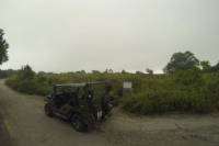 Half-Day Son Tra Peninsula Tour by Jeep