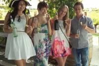 Half-Day Swan Valley Wine, Cheese and Chocolate Tasting Tour Including Afternoon River Cruise from Perth