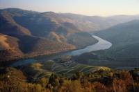 Half-Day Tour of Douro and Wine Tasting