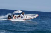 Half Day Trip on a Speedboat