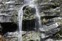 Half-Day Waterfall Gully to Mount Lofty Hike from Adelaide