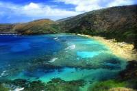 Hanauma Bay Guided Snorkel Tour with Underwater Photos