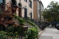 Harlem Renaissance Walking Tour with Lunch
