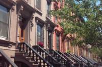 Harlem Walking Tour