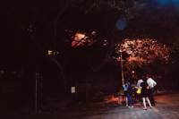Haunted Hong Kong Tour: Wanchai District