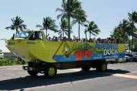 Hawaii Duck Tour: East Oahu Sightseeing
