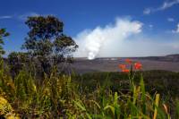 Hawaii Volcano Eco-Adventure Day Trip from Oahu