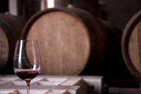 Hidden Wineries of the Uco Valley