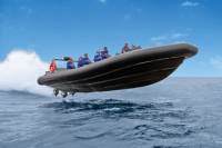 High-Speed Offshore Thrill Ride to Bondi Beach