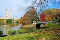 Highlights of Central Park Walking Tour
