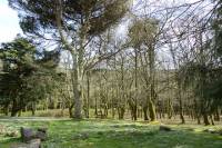 Hiking Montejunto Mountain and Royal Ice Factory Visit from Lisbon