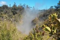 Hilo Hot Steam Volcano Tour