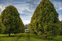 Hilo Tropical Wonders Tour
