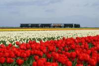 Historic Triangle Private Tour From Enkhuizen