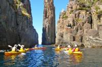 Hobart Kayak Tour