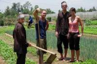 Hoi An Cycling and Farming at Tra Que full day tour