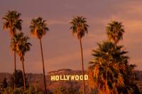 Hollywood Celebrity Homes Tour