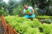 Home Cooking Class in Chiang Mai Including Hotel Pickup