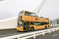 Hop-On Hop-Off Sightseeing Tour in Dublin