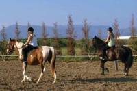 Horse Riding Experience in Nafplio