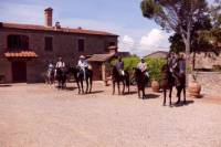Horse Riding in Casentino