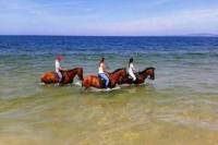 Horse Riding in Comporta