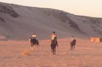 Horse Riding in Sharm el Sheikh