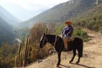 Horse Riding Tour in The Andes from Santiago