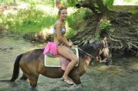 Horse Safari From Marmaris