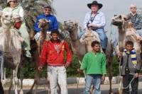 Horseback Camel or Donkey Ride Along the West Bank
