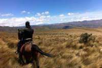 Horseback Riding at Cayambe Volcano from Quito